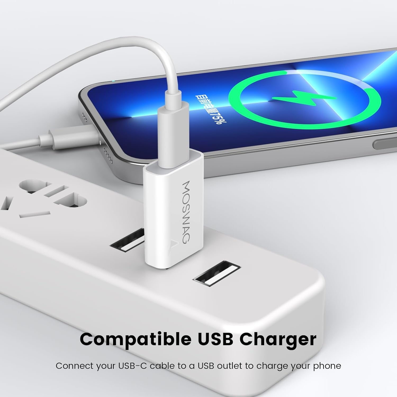 USB-C Female to USB-A Male Adapter